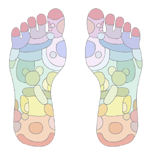 Foot chart displaying the regions of the foot